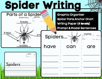 Preview of Spider Writing and Labeling- Informative (Have Can Are) w/ Anchor Charts