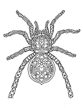 Spider Zentangle Coloring Page By Pamela Kennedy Tpt
