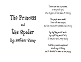 Spider informational poem