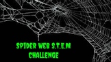 Spider web S.T.E.M