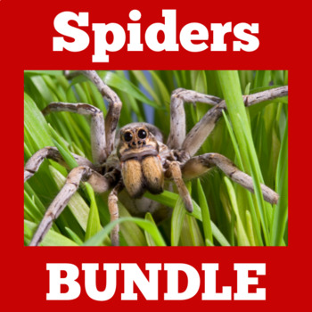 Preview of Spiders Spider | Worksheets Activities PowerPoint Science Lesson BUNDLE