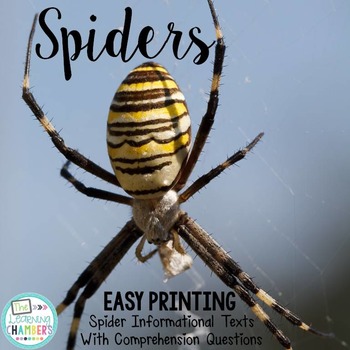 Preview of Spiders Informational Texts: Main Idea, Comprehension Questions, Facts