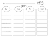Spiders "Can, Have, Are, Need" Graphic Organizer