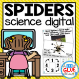 Spiders Digital Science for Kindergarten Google Classroom 