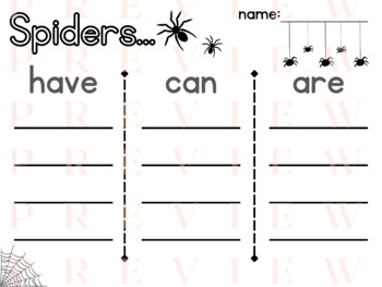 Preview of Spiders HAVE CAN ARE | Organizer | Writing | Phonics | Verbs | Adjectives | Noun