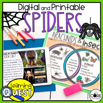 Preview of Spiders Lesson Plans - Digital or Print Spiders Activities - Halloween Worksheet