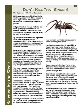 spider essay for class 7