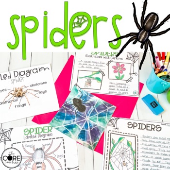 Preview of Spiders Informational Text Lessons - Nonfiction Text Features, Comprehension