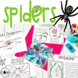 Spiders Informational Text Lessons - Nonfiction Text Featu