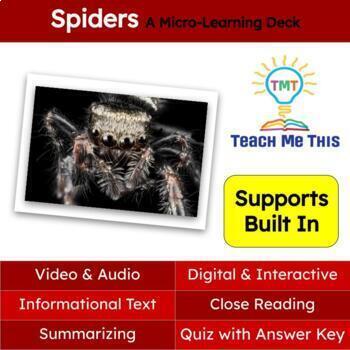 Preview of Spiders Informational Text Reading Passage and Activities