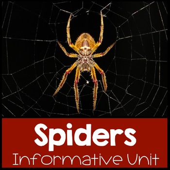 Preview of Spider Research Unit Writing Information Reports Nonfiction Reading Passages