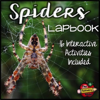 Preview of Spiders Lapbook