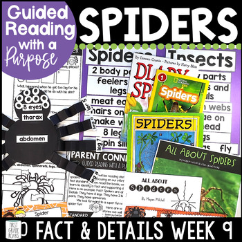 Preview of Spiders Reading Comprehension, Fiction, Nonfiction, Writing, Crafts & More