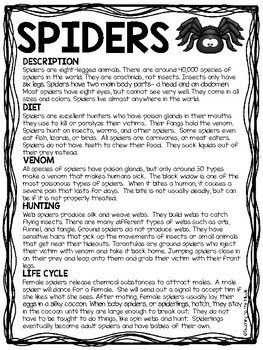 Spiders Overview Reading Comprehension Worksheet by Teaching to the Middle
