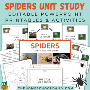 Preview of Spiders PowerPoint & Printables Pack