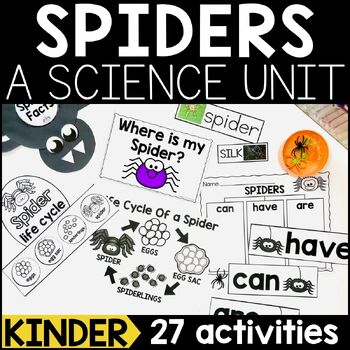 Preview of Spiders Kindergarten Science Unit | Spider Life Cycle, Parts of a Spider, & More