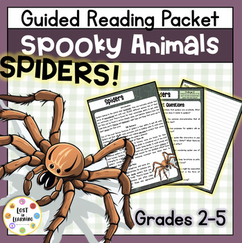 Preview of Spiders || Spooky Animal Informational Text || Halloween Guided Reading Packet