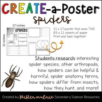 Spiders around the world - spider species - Spiders - Posters and Art  Prints
