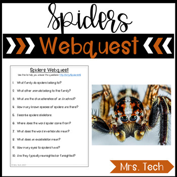 Preview of Spiders Webquest