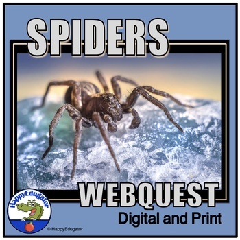 Preview of Spiders Webquest Assignment with Easel Activity Digital and Printable