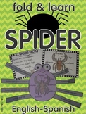 Spiders facts Fold and Learn