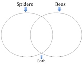 Spiders vs. Bees Venn Diagram