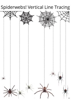 Preview of Spiderwebs! Vertical Line Tracing (real pictures