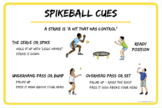 Spikeball Unit Cues Poster | Roundnet Cues |