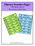 Split Digraph (Silent E) Phonics Fluency Practice Pages