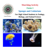Sponges and Cnidarians - High School Zoology - Matching Worksheet - Form 1