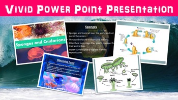 Sponges and Cnidarians Lesson with Power Point, Worksheet, and Review Page
