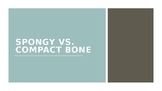 Spongy Bone and Compact Bone PowerPoint (anatomy & physiology)