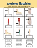 Sports Med- Lower Leg labeling & injury research
