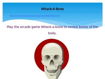 Anatomy Arcade Whack A Bone