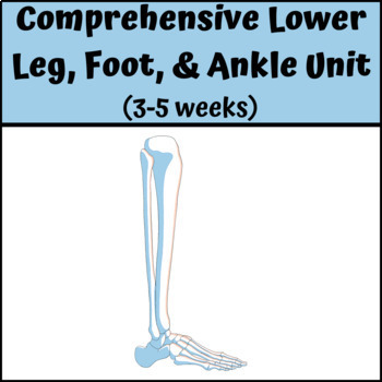Preview of Sports Medicine: Comprehensive Lower Leg, Ankle, and Foot Unit (3-5 weeks)