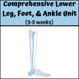 Sports Medicine: Comprehensive Lower Leg, Ankle, and Foot 