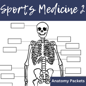 Preview of Sports Medicine Full Anatomy Coloring and Labeling Packet