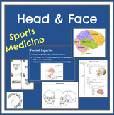 Sports Medicine Head and Facial Anatomy with Injuries