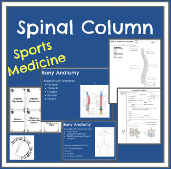 Preview of Sports Medicine: The Spinal Column