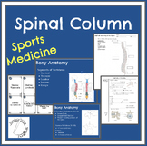 Sports Medicine: The Spinal Column