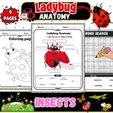 Spotlight on Spots: Ladybug Anatomy Unveiled-Labeling Work