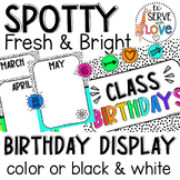 Spotty Fresh & Bright | Student Birthday Bulletin Board Display