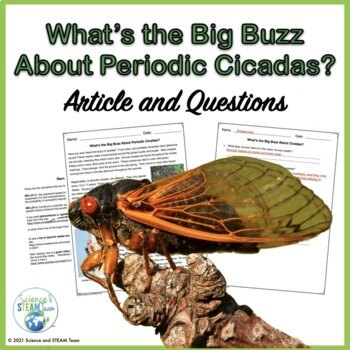 Preview of Spring Cicada's Life Cycle Nonfiction Text and More