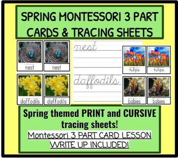 Preview of Spring Montessori 3 Part Matching Card and Tracing Sheets