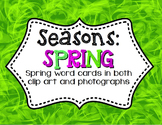 Spring 3-Part Montessori / Vocabulary Cards