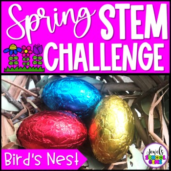 Preview of Spring Activities | March April May Bird’s Nest STEM Challenge | Life Cycle
