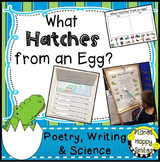 Oviparous Animals, What Hatches from an Egg, Poetry, Writi