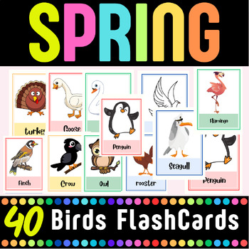 Preview of Fun Day Before Spring Break Activities | 40 birds name flashcards
