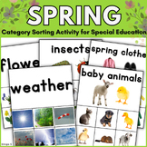 Spring Activity Autism Category Sorting Objects March Apri