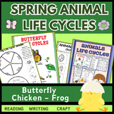 Spring Animal Life Cycles: Butterfly, Chicken, Frog Life C